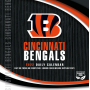 Cincinnati Bengals Daily Box Calendar 2022