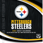 Pittsburgh Steelers Daily Box Kalender 2022
