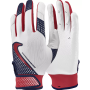 Nike Hyperdiamond 2.0 Batting gloves