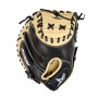 All Star CM3500TM The Anvil Weighted Training Mitt