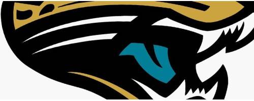 Liquidazione Jacksonville Jaguars