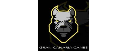 Gran Canaria Canes