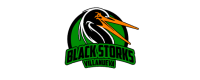 Villanueva Black Storks
